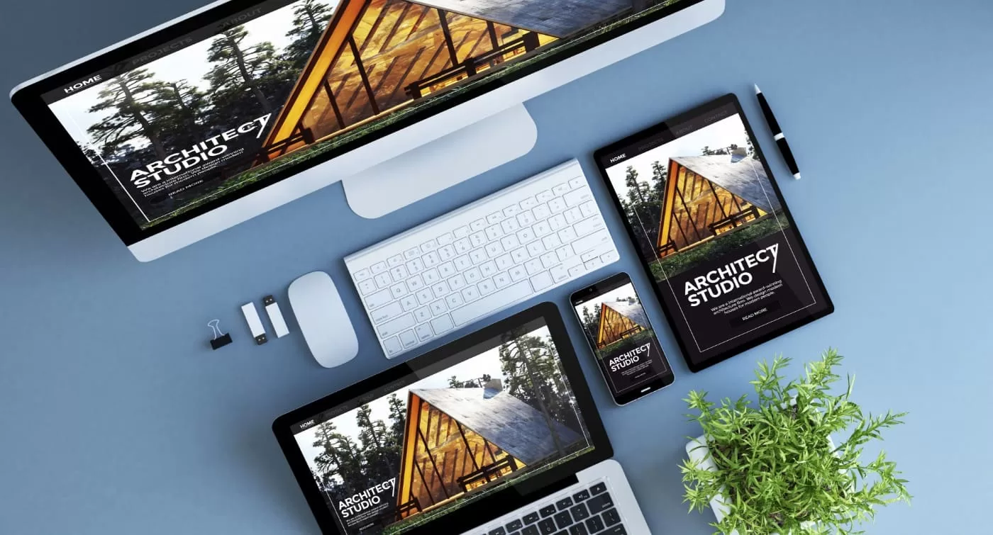Web Development